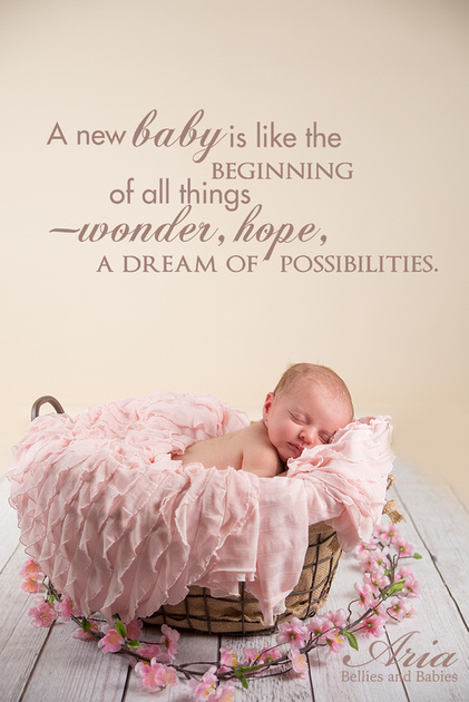 Aria Productions | Belly Baby Dream: A maternity and newborn portrait ...